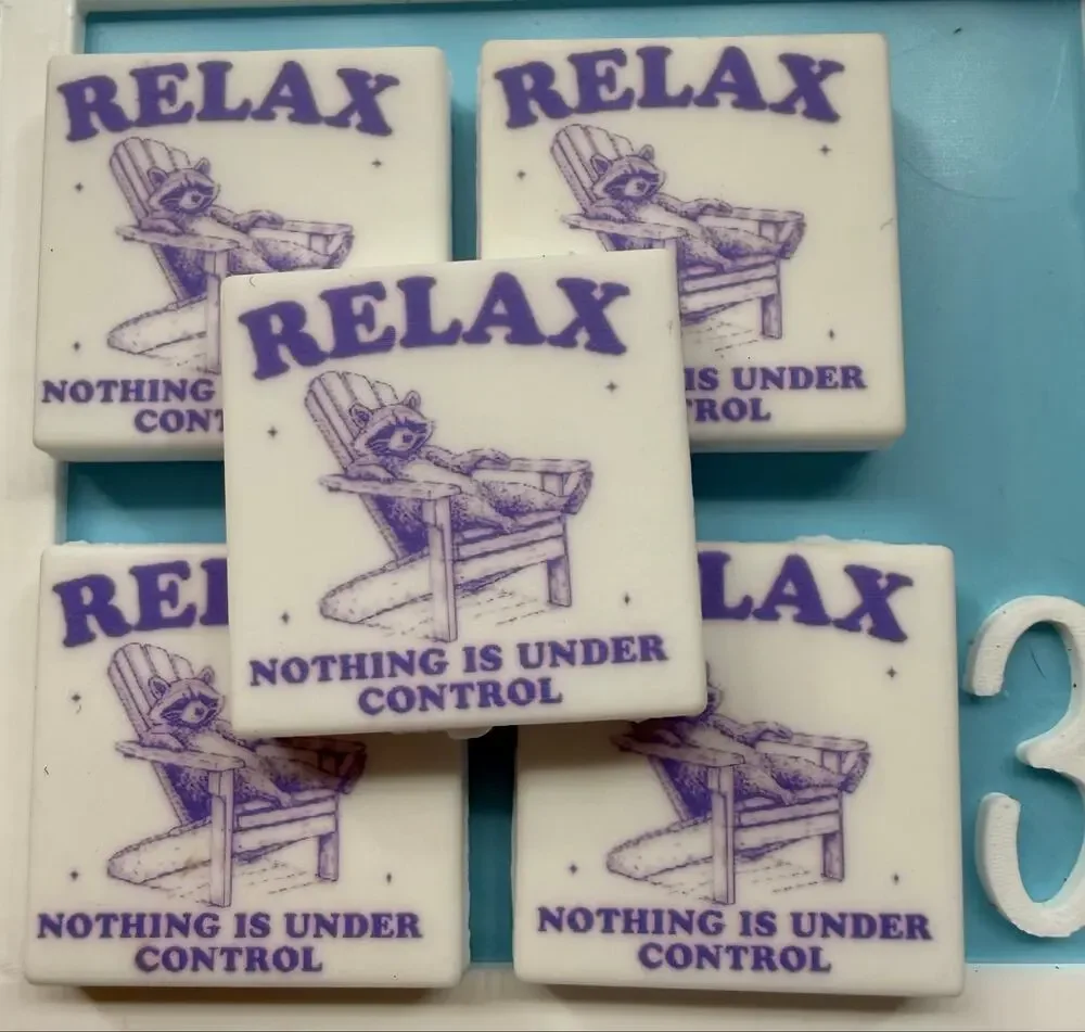Set of 5 Snarky “Relax Nothing Is Under Control” Silicone Focals for Pens funny